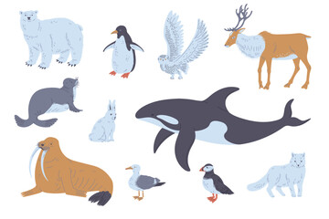 Arctic or polar circle animals and birds set flat vector illustration isolated.