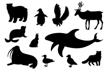 Arctic animals set, black silhouettes - flat vector illustration isolated on white background.