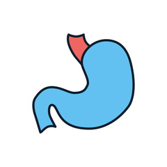 Stomach Vector Icon. Isolated on the White Background. Editable EPS file. Vector illustration
