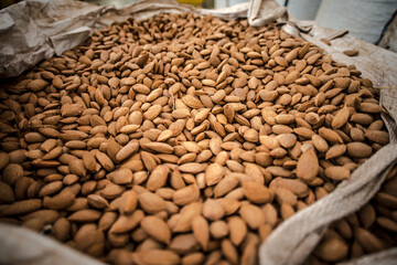 Almonds during the manufacturing process in a modern factory.