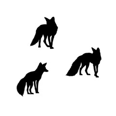 Black silhouette of foxs on white background. black icon of a fox. vector illustration of a vermin. black logo for fox.