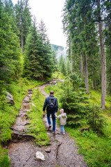 Fototapeta premium Tourists walking in alpine forest on summer day. Hikers traveler hikking with beautiful forest landscape, Dolomites, Italy