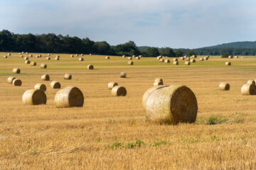 Fototapeta premium Straw bales in the summer sun on a hillside in Hungary