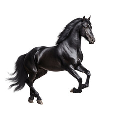 Obraz na płótnie Canvas Black horse run gallop isolated on transparent background, generative ai