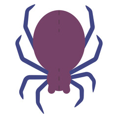 spider flat illustration