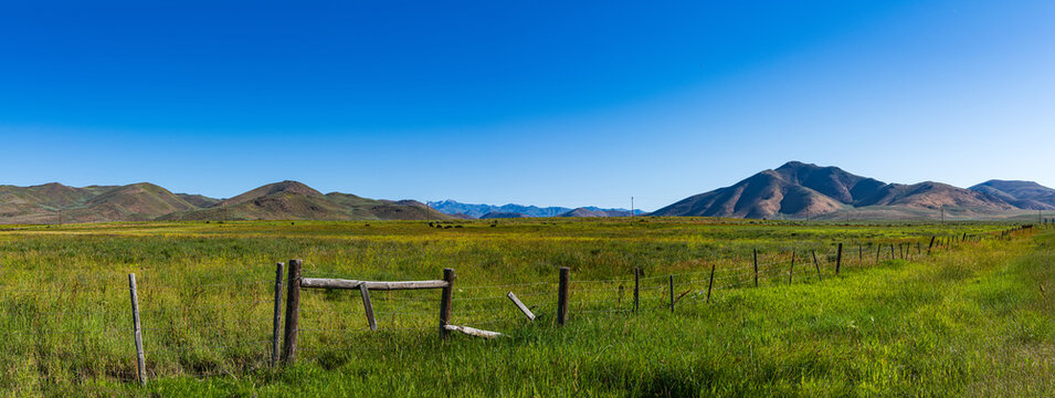 Panorama of Pasture Land in the Little Wood River Valley with the Pioneer Mountains in the Background in July near Carey, Idaho, USA