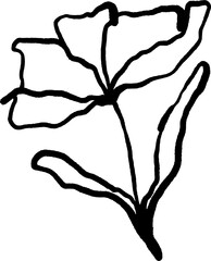Fototapeta premium Doodle flower 