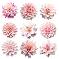 nine pink flowers on a white background, a set of large pink flowers, flowers for stickers, pink dahlias, flowers for decoration, ai generative 