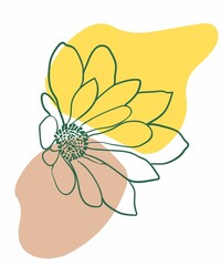 The flower is a daisy, with six yellow petals.
The stem is green and thin, and it curves slightly.
The leaves are also green, and they are arranged in a spiral pattern around the stem.
The backgroun

