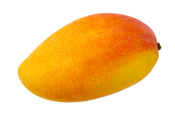 Red and yellow pattern of mango fruit