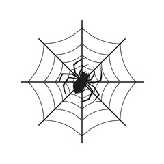 Black Spider and web