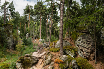 Hiking trail through forest and sandstone rocks in Prachov Rocks, Bohemian Paradise, Czech Republic