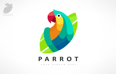 Parrot bird logo. Tropical bird. Wild animal. Multicolored parrot design illustration.