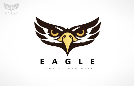 Eagle logo bird vector. Animal design.