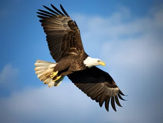Zelfklevend Fotobehang A majestic bald eagle soaring through the sky © Noah