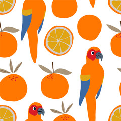 Parrots and oranges pattern on white background. Tropical pattern. Vector illustration - 632250910
