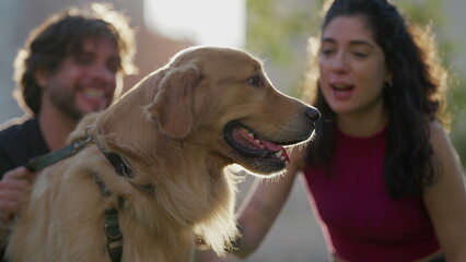 Golden Retriever Dog with man and woman outside at park in sunlight. Couple enjoying summer weekend activity during sunny day