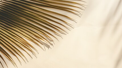 Obraz premium Top view of a palm leaf shadow on sandy backdrop with space for text