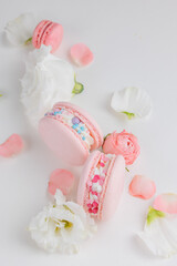 Top view Set Beautiful colorful French macaroons and flowers. Spring Flat lay white background
