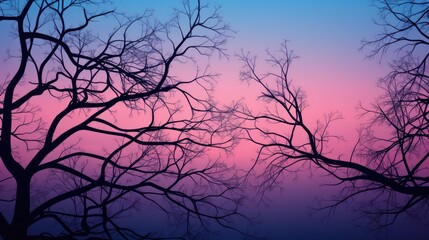 Obraz premium tree branch silhouette as background