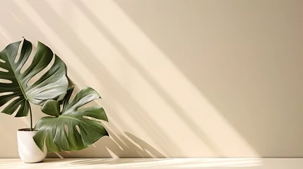 Fototapete Badezimmer Minimal summer concept with monstera palm leaf and shadow on a white table against a beige wall background  © HN Works
