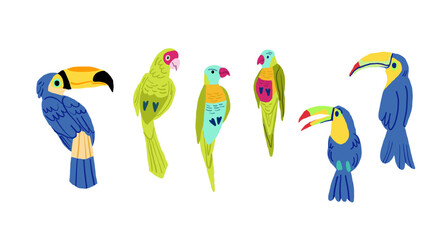 Flat design vector birds icon set. Popular birding species collection. Exotic bird set in flat design on white. . Vector illustration