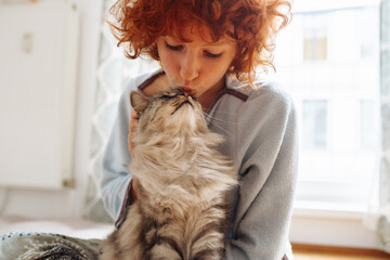 Friendship between domestic cat and pet owner - obrazy, fototapety, plakaty