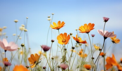 Vibrant Yellow Flower with Blue Sky over Meadow Background AI Generated