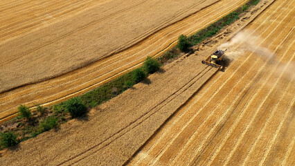 Combine harvester gathers the wheat crop. Wheat harvesting shears. Combines in the field Food...