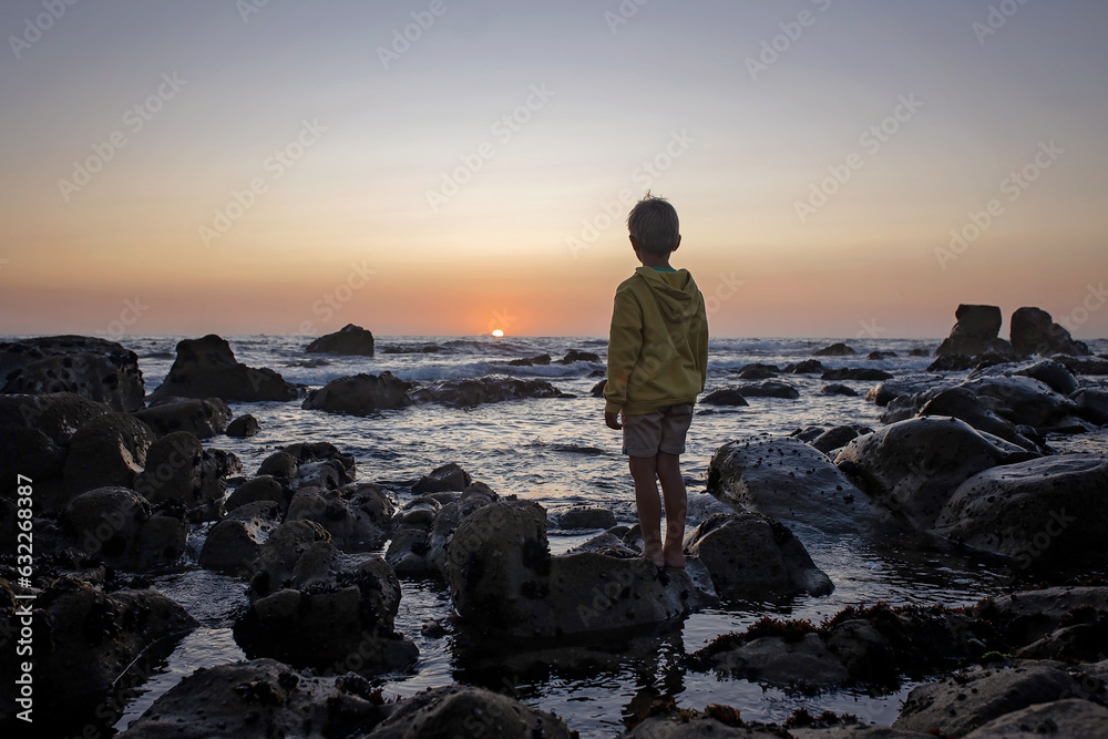 Poster Happy children, enjoying sunset over the ocean with their family, rocky beach