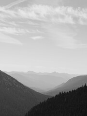 Chinook Pass