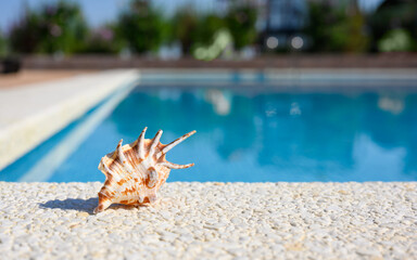 Obraz na płótnie Canvas Seashell near the pool in the hotel. Vacation and relaxation concept