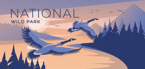 Fotobehang two canada geese fly to a mountain lake at dusk. Coniferous forest. Wild nature park. The blue color of the sunset. Tourism and travel advertising. Vector illustration © Maria