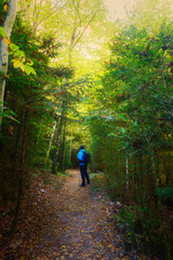 Obraz premium Man on a path in a forest in autumn