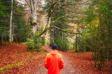 Man looking at a path in a forest in autumn