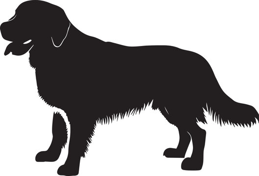 recommend clip art: Golden Retriever Dog Vector silhouette