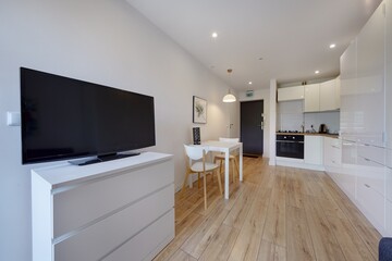 Salon w nowym apartamencie z szara sofą zielonym zasłonami i telewizorem © arteffect.pl