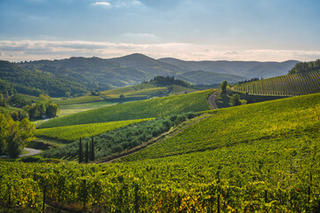 Fototapeta na wymiar Radda in Chianti landscape, vineyards in autumn. Tuscany, Italy