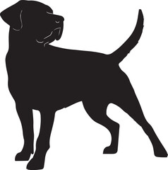 Labrador Vector silhouette, Dog vector silhouette, black color dog silhouette
