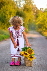 A child in a field of sunflowers Ukraine. Selective focus.