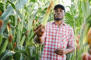 African Farmer stand in the corn plantation field