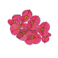 flower euphoria vector illustration hand drawing  