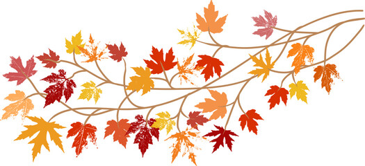 Autumn maple leaves, orange fall leaf, thanksgiving or halloween design elements in orange red and yellow autumn colors, seasonal clip art or design elements for border or background illustrations - 632292120