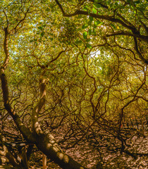 C:\DCIM\103GOPRO\GOPR3113.GPR