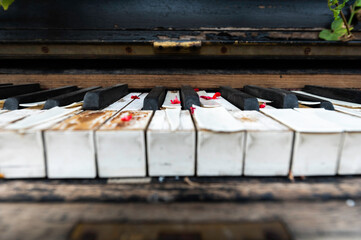 Stare drewniane niszczejące pianino z rozpadającą się klawiaturą, przystrojone kolorowymi kwiatami © smoku7979