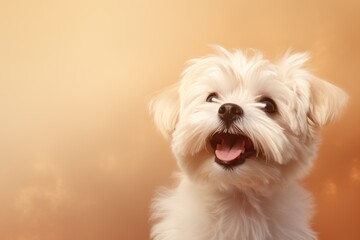 cute dog on beige background, AI Generated