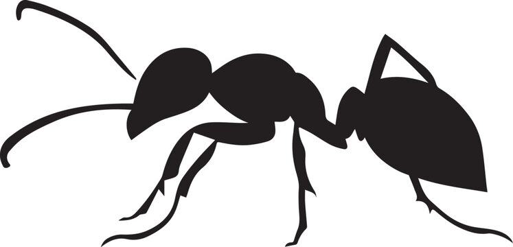 ant vector silhouette illustration
