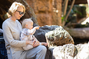 Caucasian blonde mother holding her infant baby boy child in her lap watching crocodile in zoo. Happy family having fun with animals safari park on warm summer day.