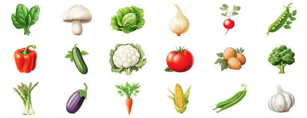 Set of vegetables spinach, champignon, cabbage, onion, radish, peas, pepper, squash, potato, carrot, cabbage, cauliflower tomato, potato, broccoli, asparagus, squash, carrot, corn, asparagus, garlic.