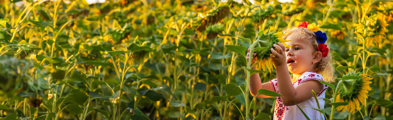 A child in a field of sunflowers Ukraine. Selective focus.